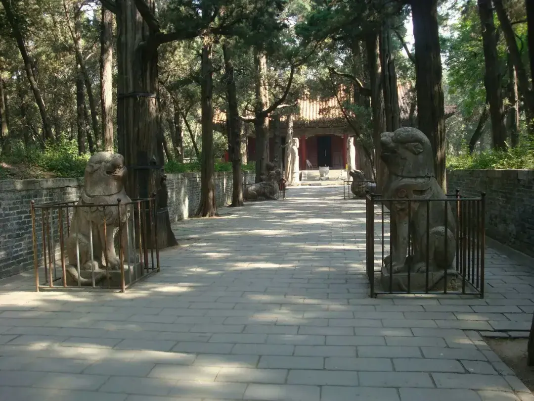 曲阜孔庙旅游攻略_曲阜旅游景点孔庙多少钱门票_曲阜孔庙游玩攻略