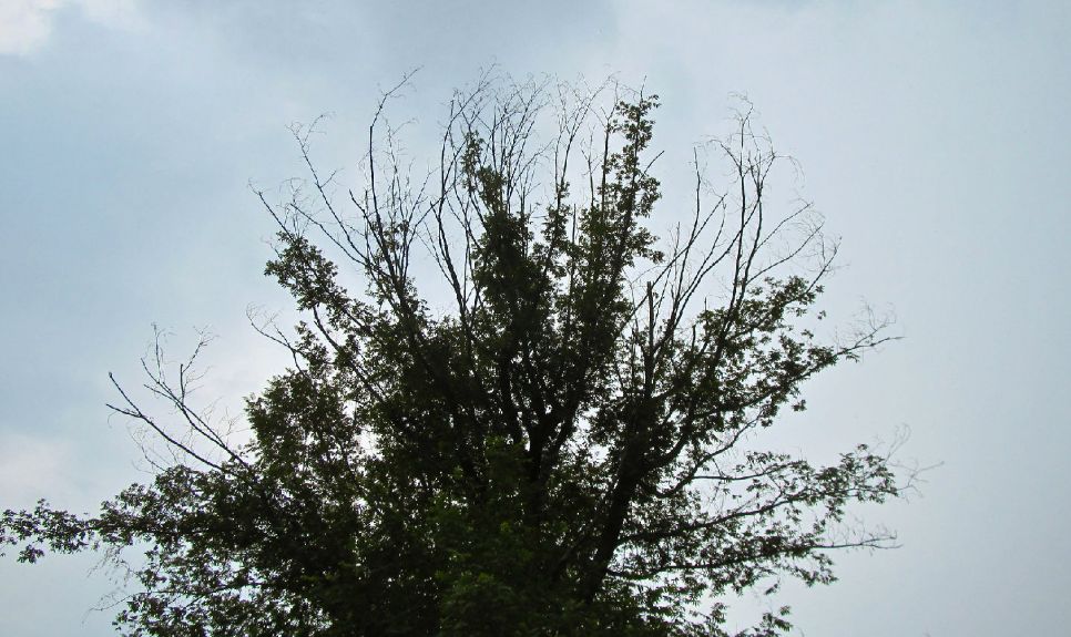 攻略日游永嘉旅游路线_永嘉游玩攻略_永嘉旅游攻略一日游