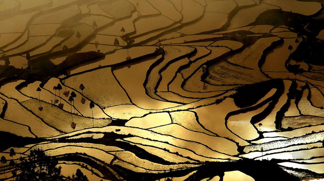 永嘉旅游攻略一日游_永嘉游玩攻略_攻略日游永嘉旅游路线