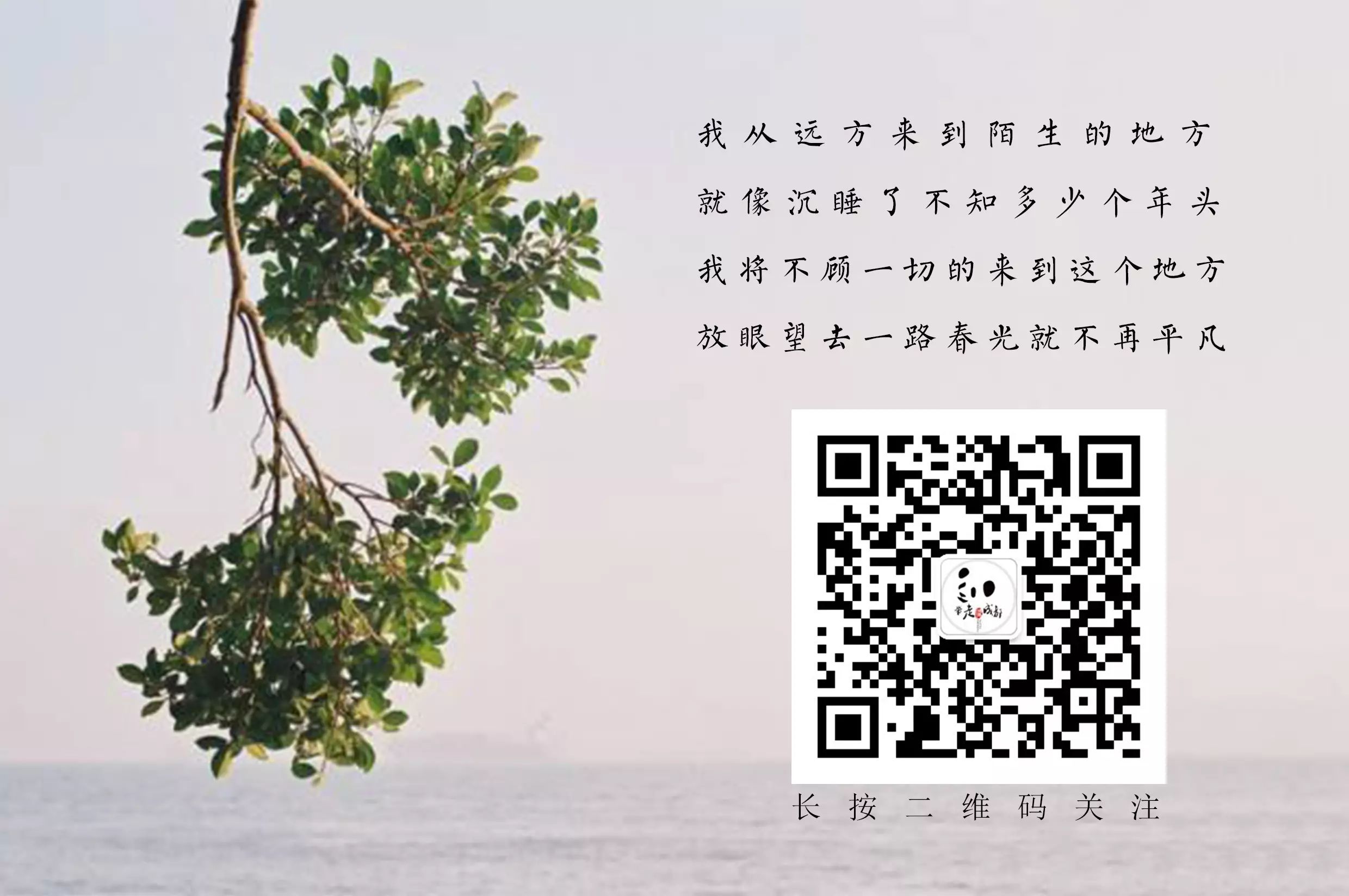 江油养马峡旅游攻略_江油养马峡路好走吗_江油养马峡怎么样