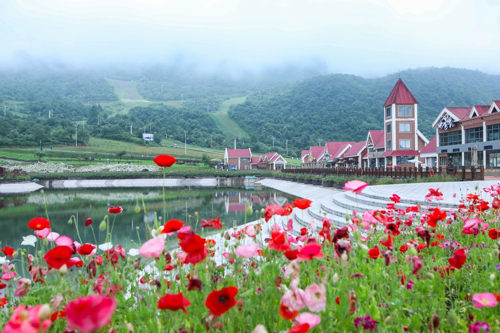 成都西岭雪山旅游攻略-雪山攻略成都旅游西岭怎么去(图2) 雪山攻略成都旅游西岭怎么去_成都西岭雪山旅游攻略_成都景点西岭雪山