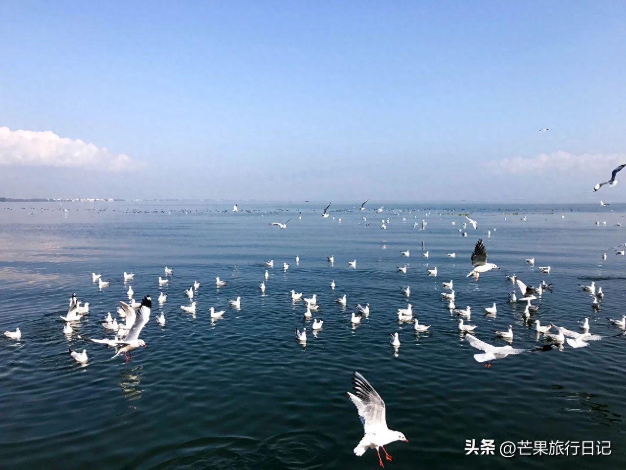 白水台门票多少钱_白水台旅游攻略_攻略旅游白水台路线