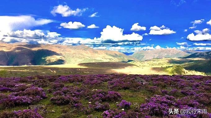 白水台旅游攻略_白水台游玩攻略_白水台景区