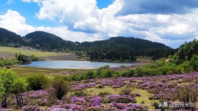 白水台旅游攻略_白水台游玩攻略_白水台景区