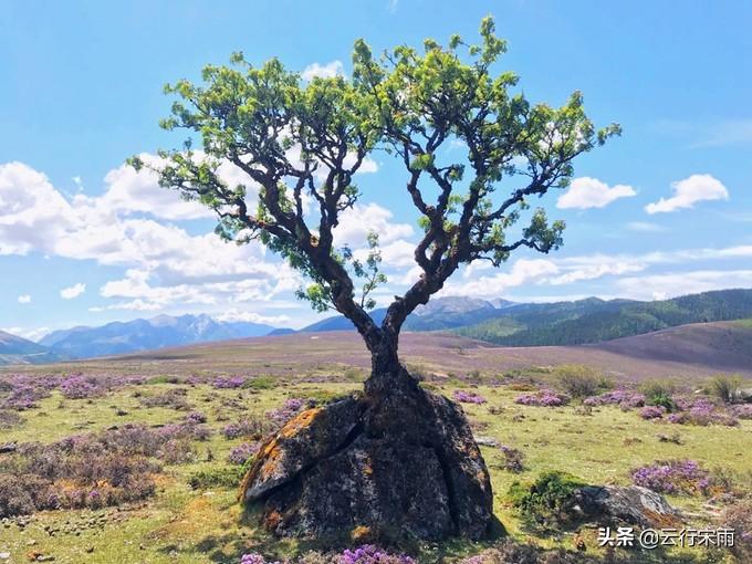 白水台旅游攻略_白水台景区_白水台游玩攻略