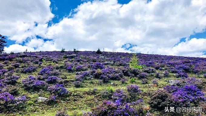白水台游玩攻略_白水台旅游攻略_白水台景区