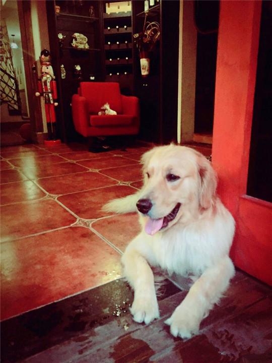 蚂蜂窝旅游攻略三亚_马蜂窝三亚旅游记_三亚攻略马蜂窝