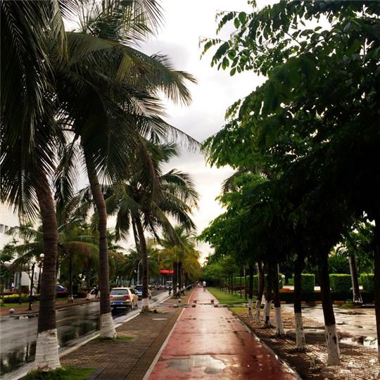 三亚攻略马蜂窝_马蜂窝三亚旅游记_蚂蜂窝旅游攻略三亚