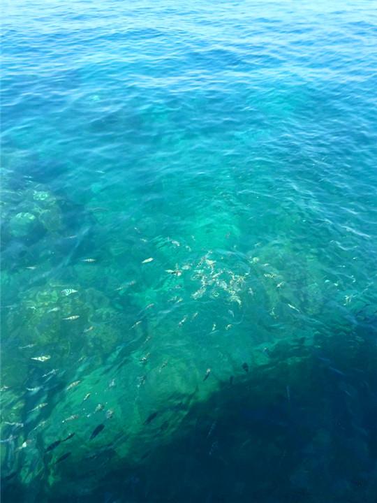 蚂蜂窝旅游攻略三亚_三亚攻略马蜂窝_马蜂窝三亚旅游记