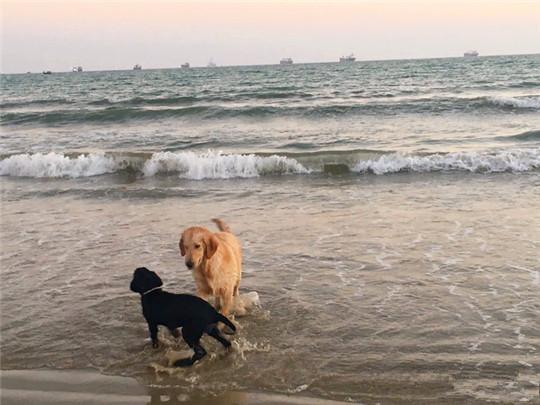 蚂蜂窝旅游攻略三亚_马蜂窝三亚旅游记_三亚攻略马蜂窝