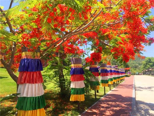 三亚攻略马蜂窝_蚂蜂窝旅游攻略三亚_马蜂窝三亚旅游记