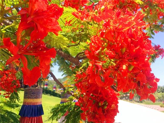 三亚攻略马蜂窝_马蜂窝三亚旅游记_蚂蜂窝旅游攻略三亚