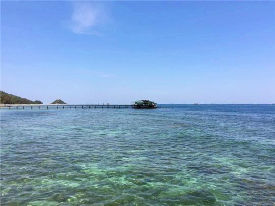 蚂蜂窝旅游攻略三亚_三亚攻略马蜂窝_马蜂窝三亚旅游记