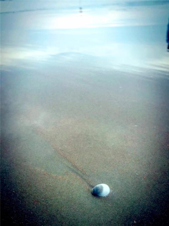 马蜂窝三亚旅游记_蚂蜂窝旅游攻略三亚_三亚攻略马蜂窝