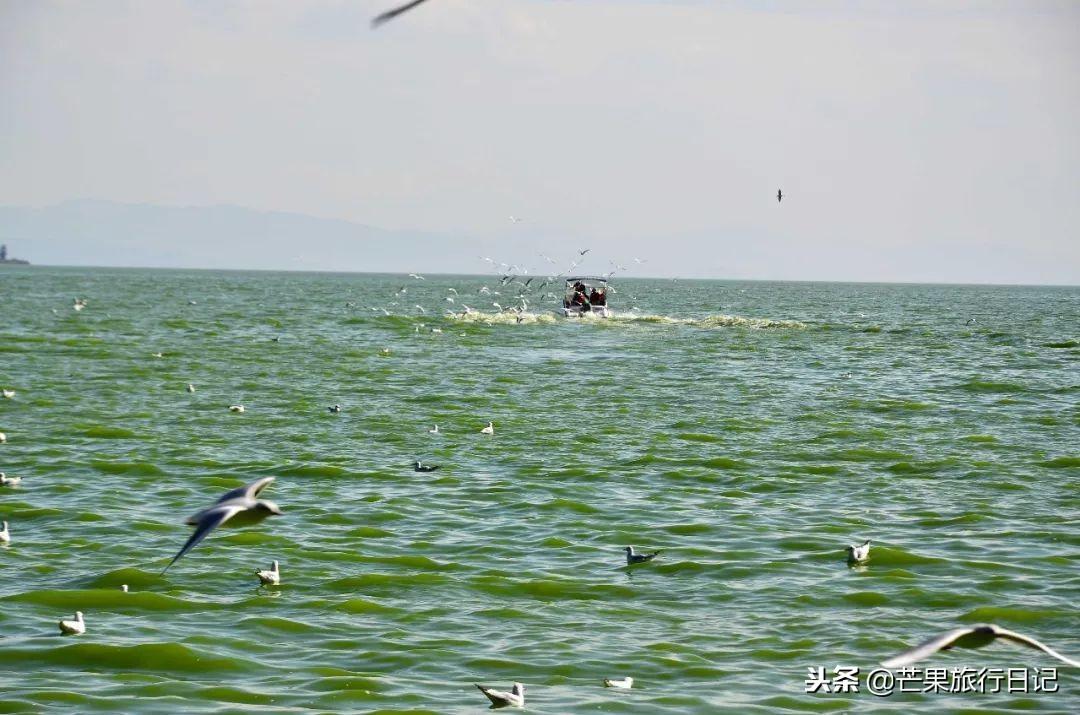 白水台旅游攻略_白水台景区_白水台一日游