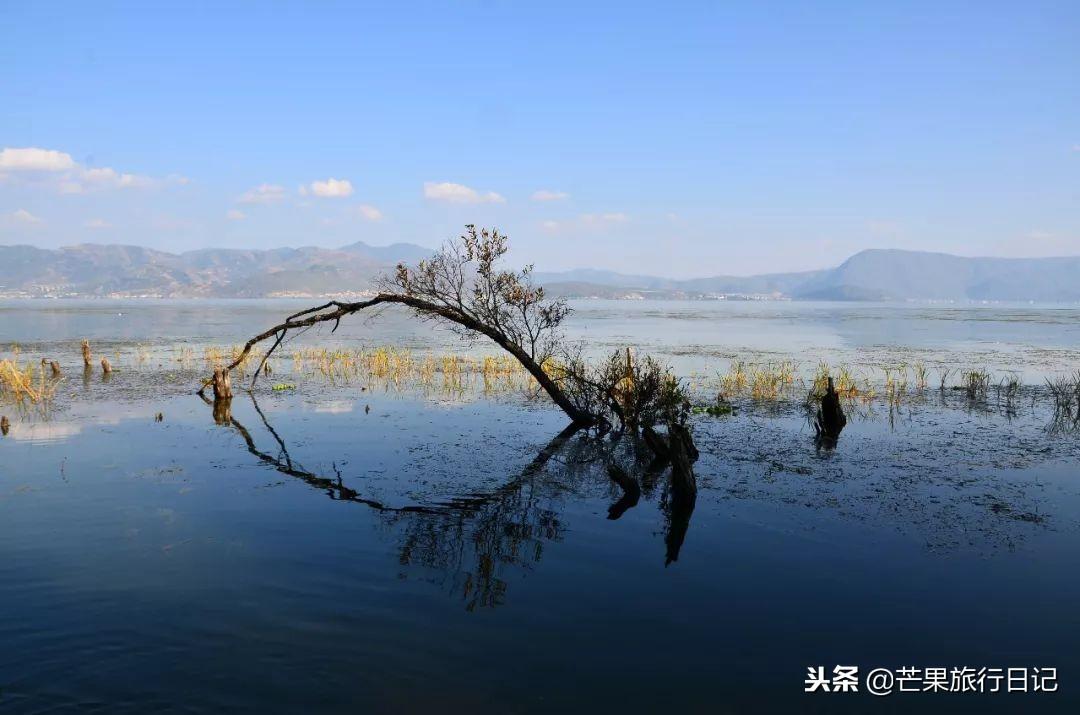 白水台景区_白水台旅游攻略_白水台一日游