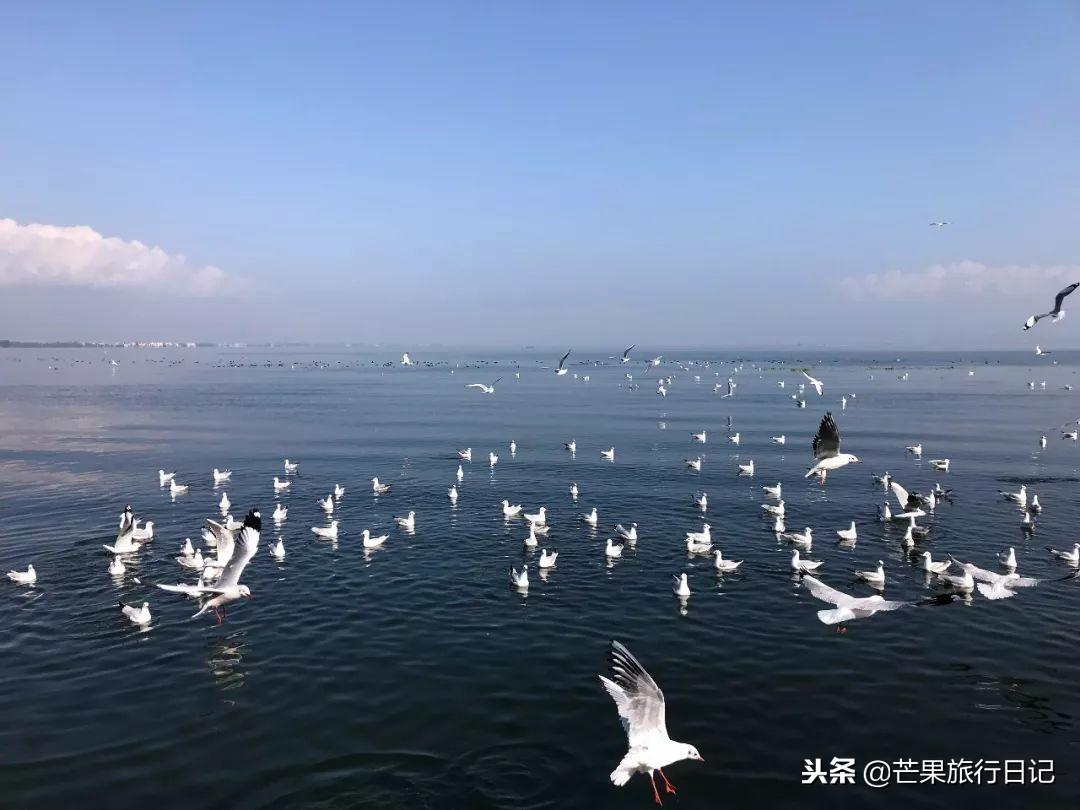 白水台景区_白水台一日游_白水台旅游攻略