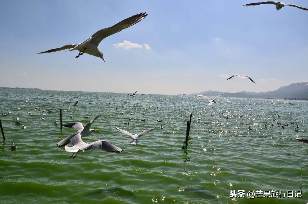 白水台旅游攻略_白水台景区_白水台一日游
