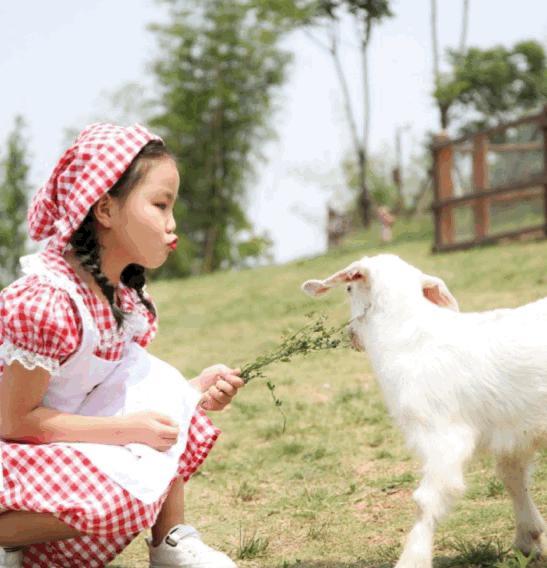 南京去三清山旅游攻略-南京自驾游三清山攻略(图29) 南京自驾三清山旅游攻略_南京自驾游三清山攻略_南京去三清山旅游攻略