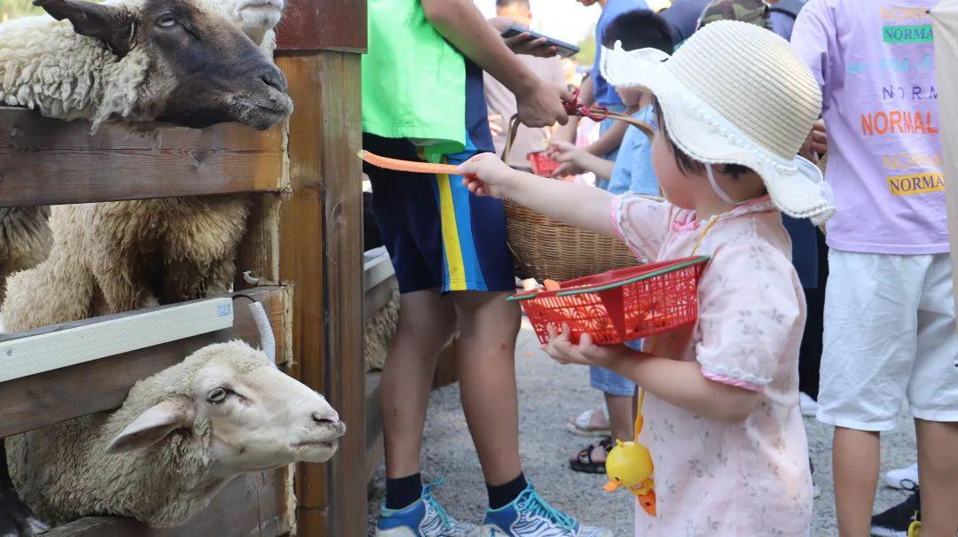 南京去三清山旅游攻略-南京自驾游三清山攻略(图36) 南京去三清山旅游攻略_南京自驾游三清山攻略_南京自驾三清山旅游攻略
