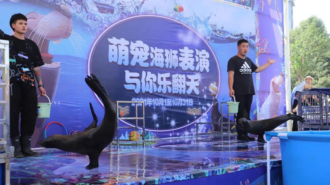 南京去三清山旅游攻略-南京自驾游三清山攻略(图37) 南京自驾游三清山攻略_南京去三清山旅游攻略_南京自驾三清山旅游攻略