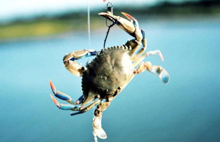 南京去三清山旅游攻略-南京自驾游三清山攻略(图5) 南京自驾三清山旅游攻略_南京去三清山旅游攻略_南京自驾游三清山攻略