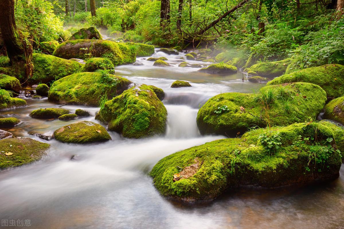 大小兴安岭旅游攻略-兴安岭旅游