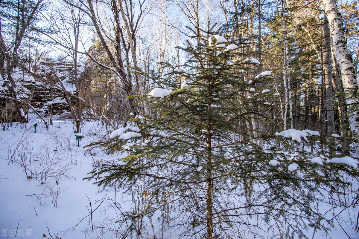 大小兴安岭旅游攻略-兴安岭旅游(图4) 大小兴安岭旅游攻略_兴安岭自驾游_兴安岭旅游