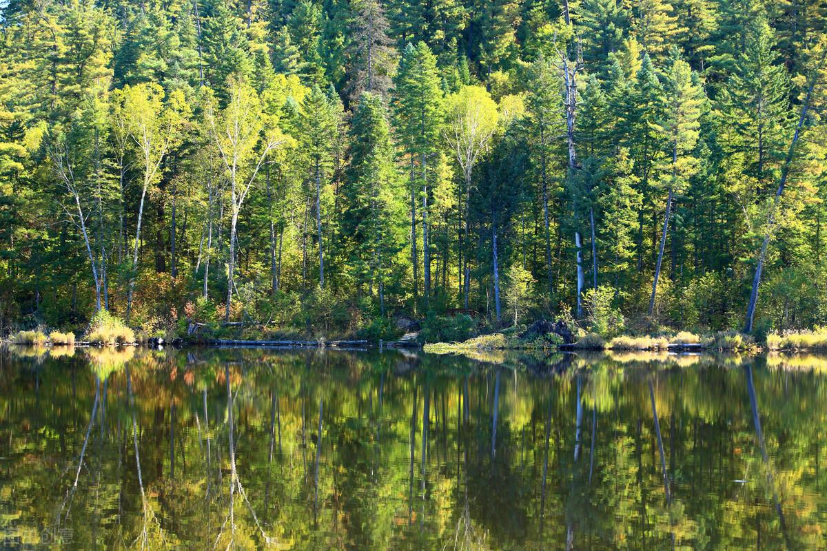 大小兴安岭旅游攻略-兴安岭旅游(图5) 大小兴安岭旅游攻略_兴安岭自驾游_兴安岭旅游