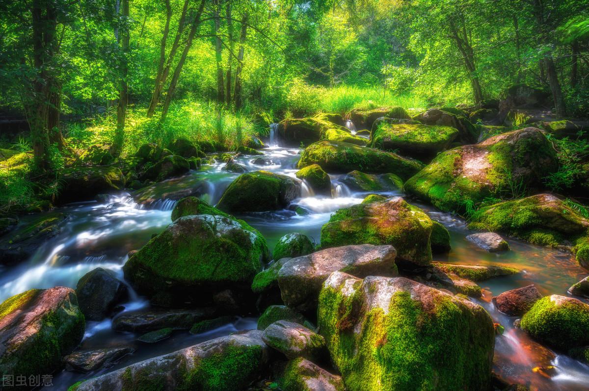 大小兴安岭旅游攻略-兴安岭旅游(图6) 兴安岭自驾游_大小兴安岭旅游攻略_兴安岭旅游