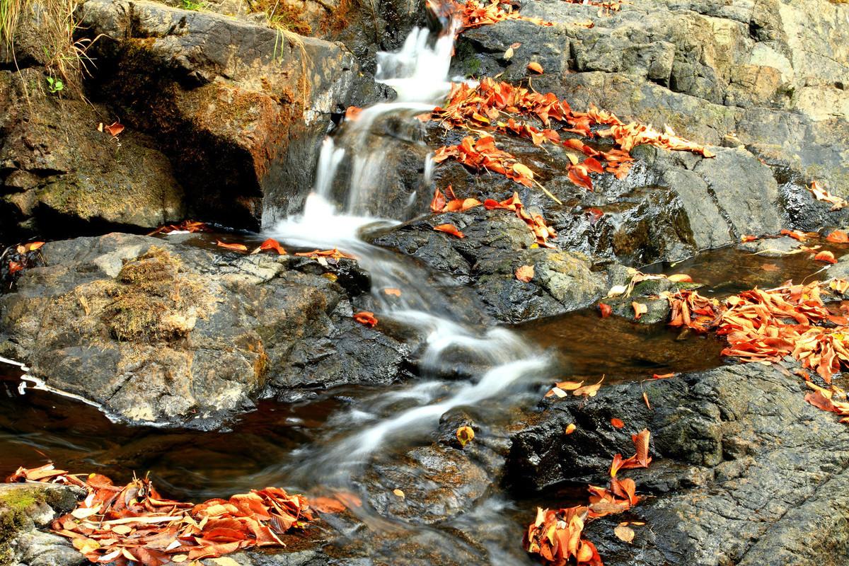 大小兴安岭旅游攻略-兴安岭旅游(图7) 兴安岭自驾游_大小兴安岭旅游攻略_兴安岭旅游