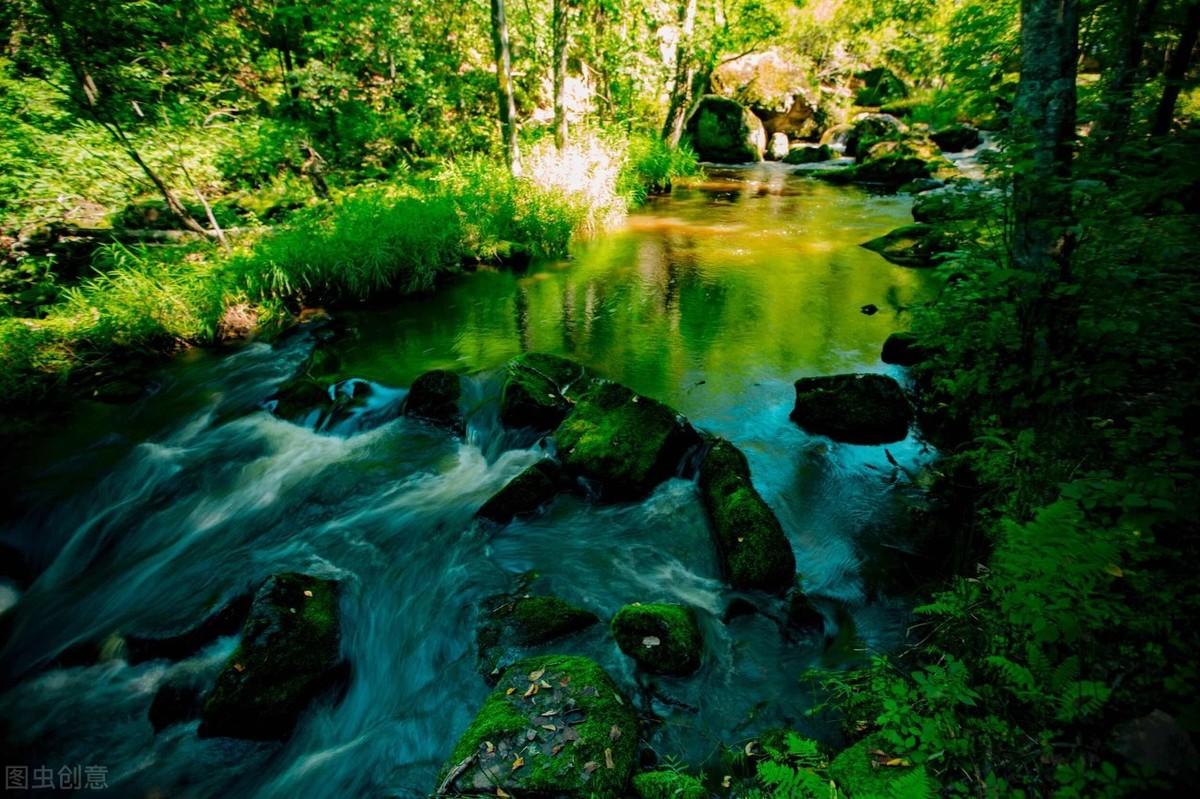 大小兴安岭旅游攻略-兴安岭旅游(图9) 兴安岭旅游_兴安岭自驾游_大小兴安岭旅游攻略