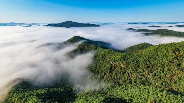 大小兴安岭旅游攻略-兴安岭自驾游(图3) 大小兴安岭旅游攻略_兴安岭好玩吗_兴安岭自驾游