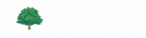 东甲岛旅游攻略-东岛旅游攻略一天