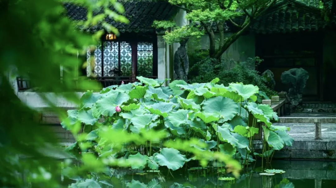 东甲岛旅游攻略-东岛旅游攻略一天(图14) 东甲岛旅游攻略_岛上旅游_东岛旅游攻略一天