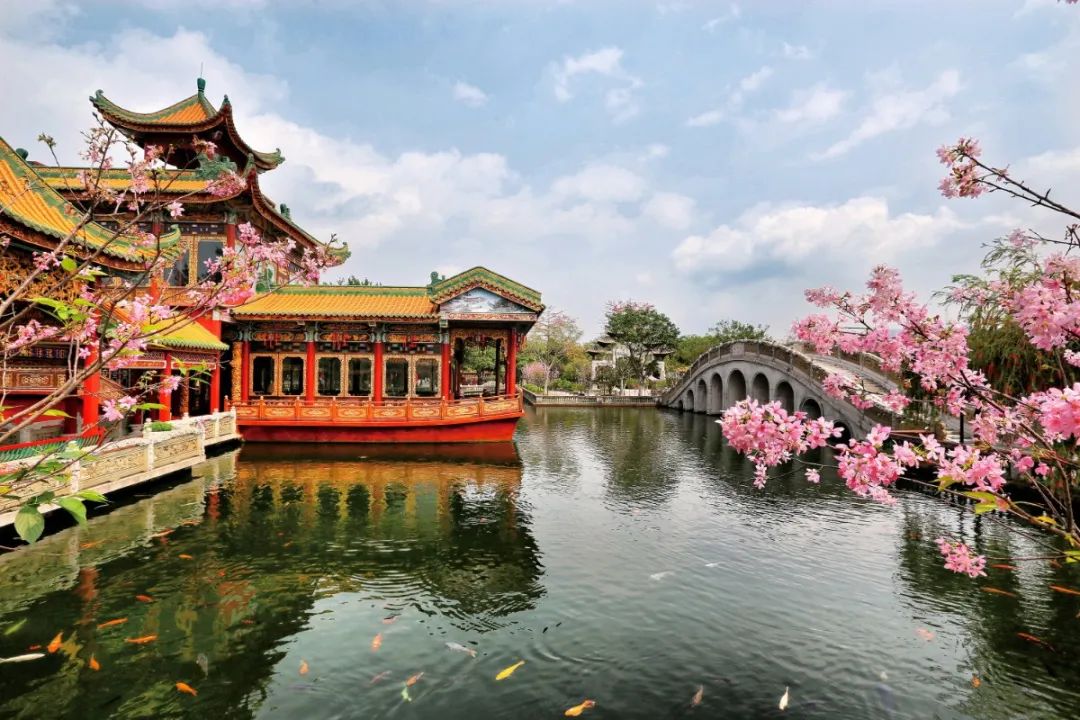 广州海洋馆旅游攻略-广州海洋馆游玩攻略(图37) 广州海洋馆攻略好玩吗_广州海洋馆游玩攻略_广州海洋馆旅游攻略