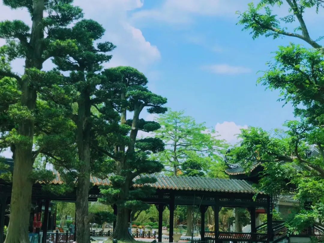 广州海洋馆旅游攻略-广州海洋馆游玩攻略(图38) 广州海洋馆游玩攻略_广州海洋馆攻略好玩吗_广州海洋馆旅游攻略