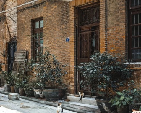 广州海洋馆旅游攻略-广州海洋馆游玩攻略(图51) 广州海洋馆游玩攻略_广州海洋馆旅游攻略_广州海洋馆攻略好玩吗