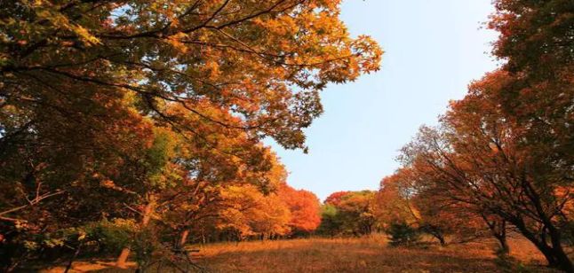 辽源旅游攻略-辽源旅游景区(图11) 辽源旅游攻略必去景点_辽源旅游景区_辽源旅游攻略