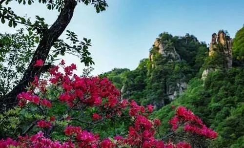 河南白云山旅游攻略-河南白云山旅游攻略(图9) 河南白云山旅游攻略_河南白云山旅游攻略_河南白云山旅游攻略