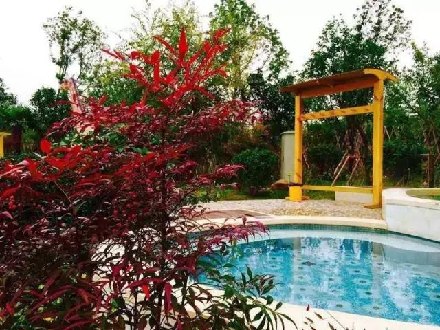 河南白云山旅游攻略_河南白云山旅游攻略_河南白云山旅游攻略