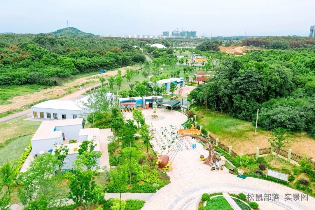 武汉隐水洞好玩吗_武汉到隐水洞旅游攻略_武汉山水溶洞