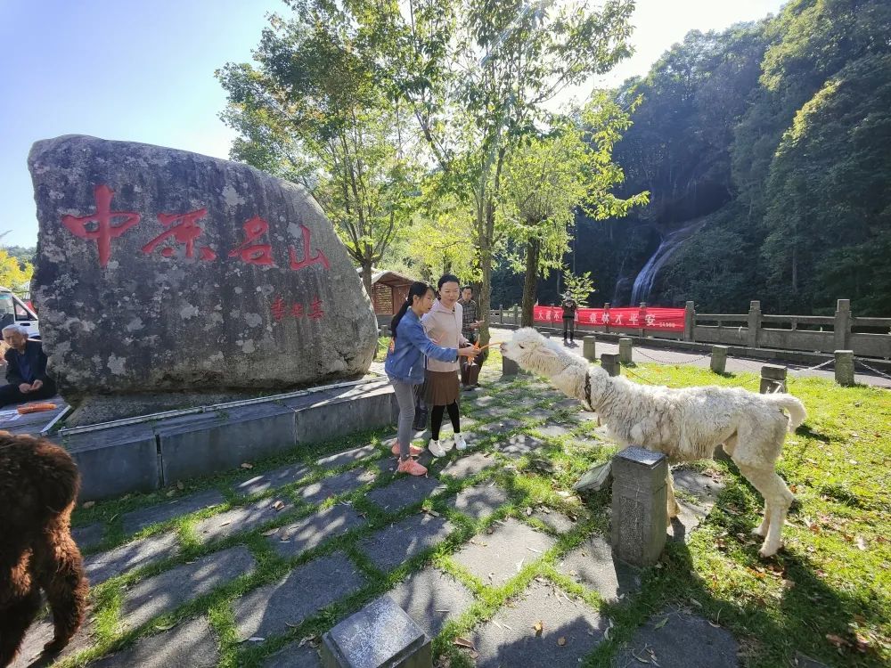 河南白云山旅游攻略_河南白云山旅游攻略_河南白云山旅游攻略