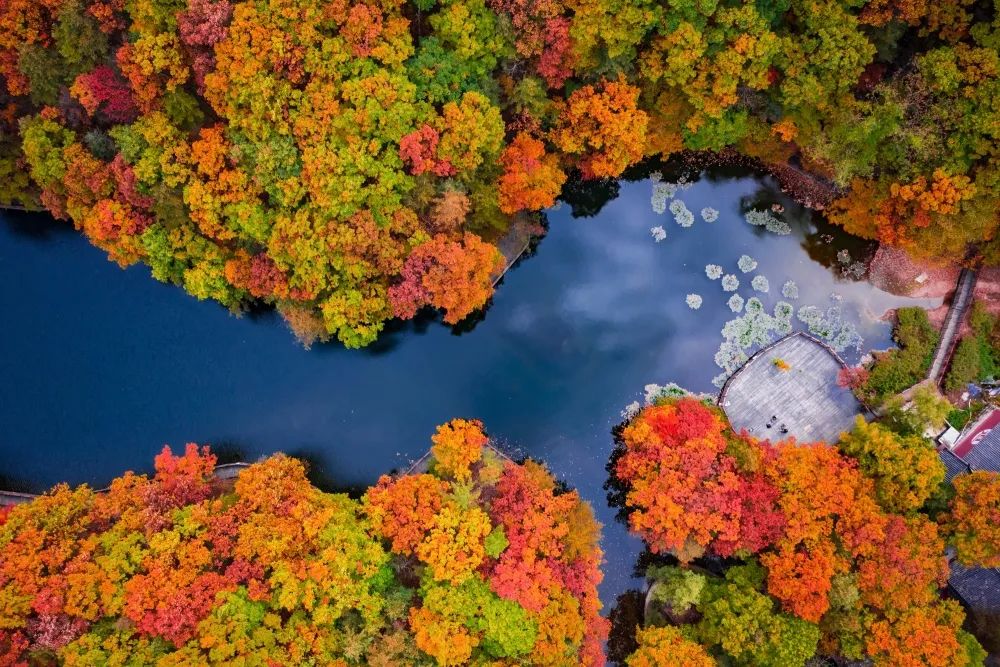 河南白云山旅游攻略_河南白云山旅游攻略_河南白云山旅游攻略
