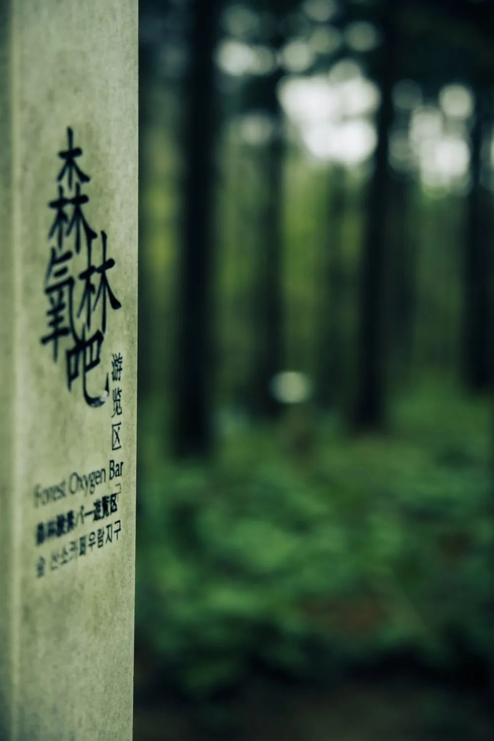 河南白云山旅游攻略_河南白云山旅游攻略_河南白云山旅游攻略