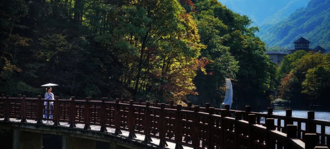 河南白云山旅游攻略_河南白云山旅游攻略_河南白云山旅游攻略