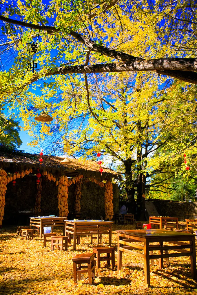 云南旅游瑞丽腾冲_腾冲瑞丽旅游线路_瑞丽腾冲旅游攻略