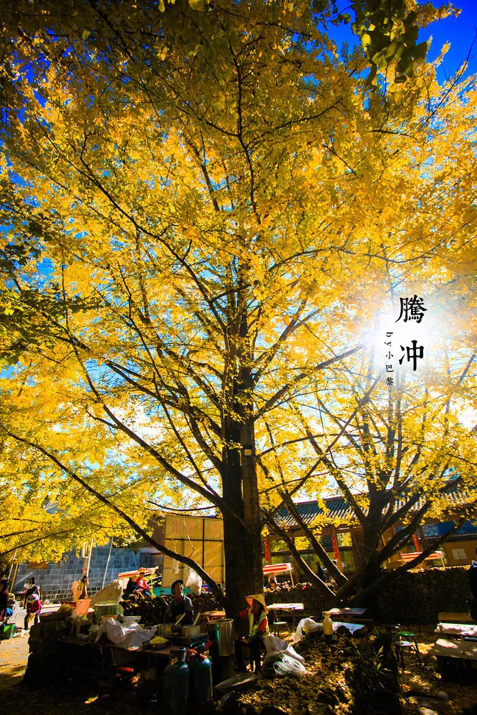 腾冲瑞丽旅游线路_云南旅游瑞丽腾冲_瑞丽腾冲旅游攻略