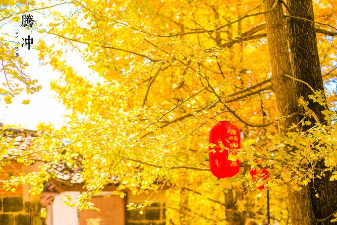 腾冲瑞丽旅游线路_瑞丽腾冲旅游攻略_云南旅游瑞丽腾冲