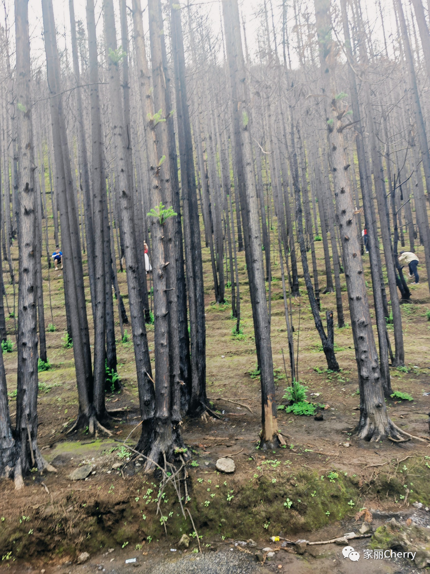 瑞丽腾冲旅游攻略_云南旅游瑞丽腾冲_腾冲瑞丽旅游线路